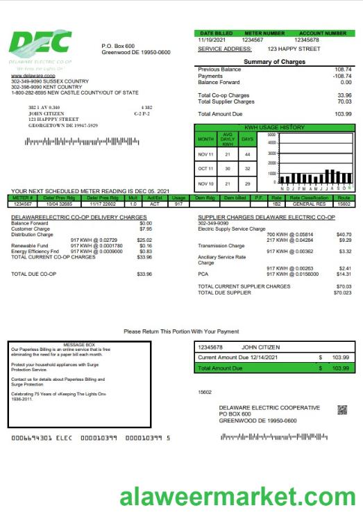 USA Delaware Electric Co-op utility bill template in Word and PDF format
